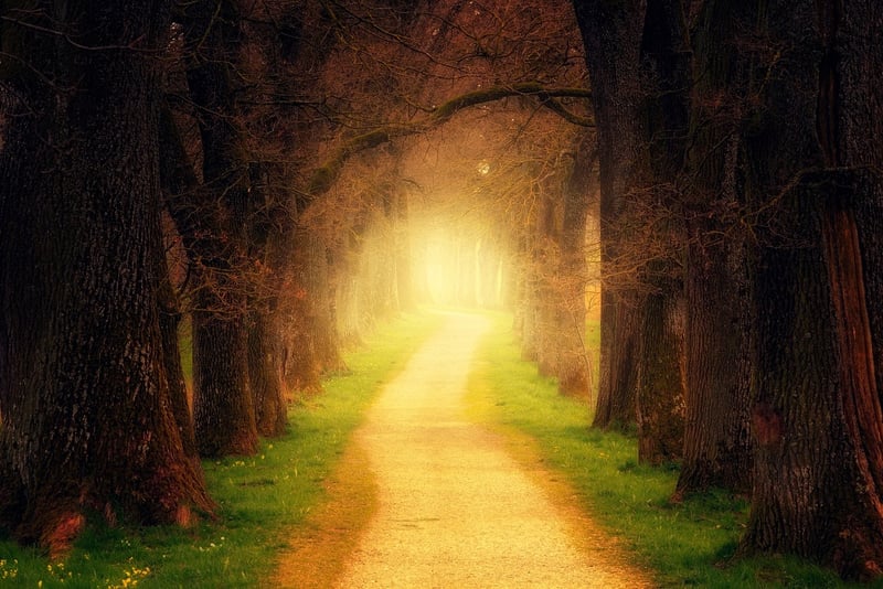 Enchanted Forest Retreat