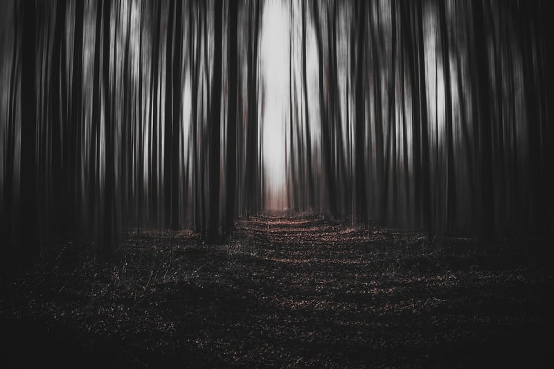 Fantasy Forest Path